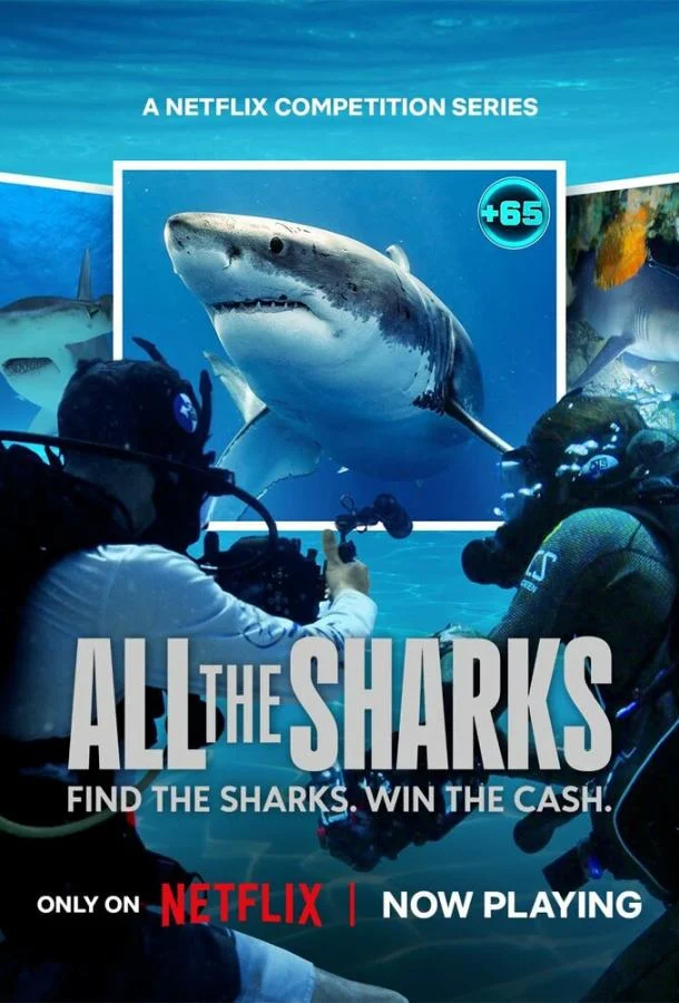 Все акулы 1 сезон Сериал2025смотреть онлайн бесплатно