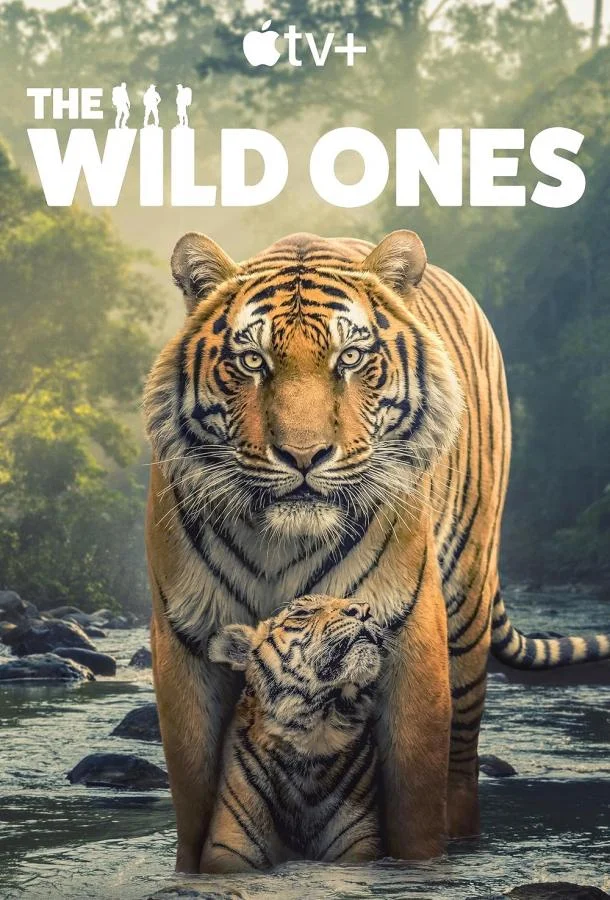 В мире дикой природы 1 сезон Сериал2025смотреть онлайн бесплатно